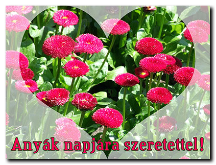 Anyáknapjára.png